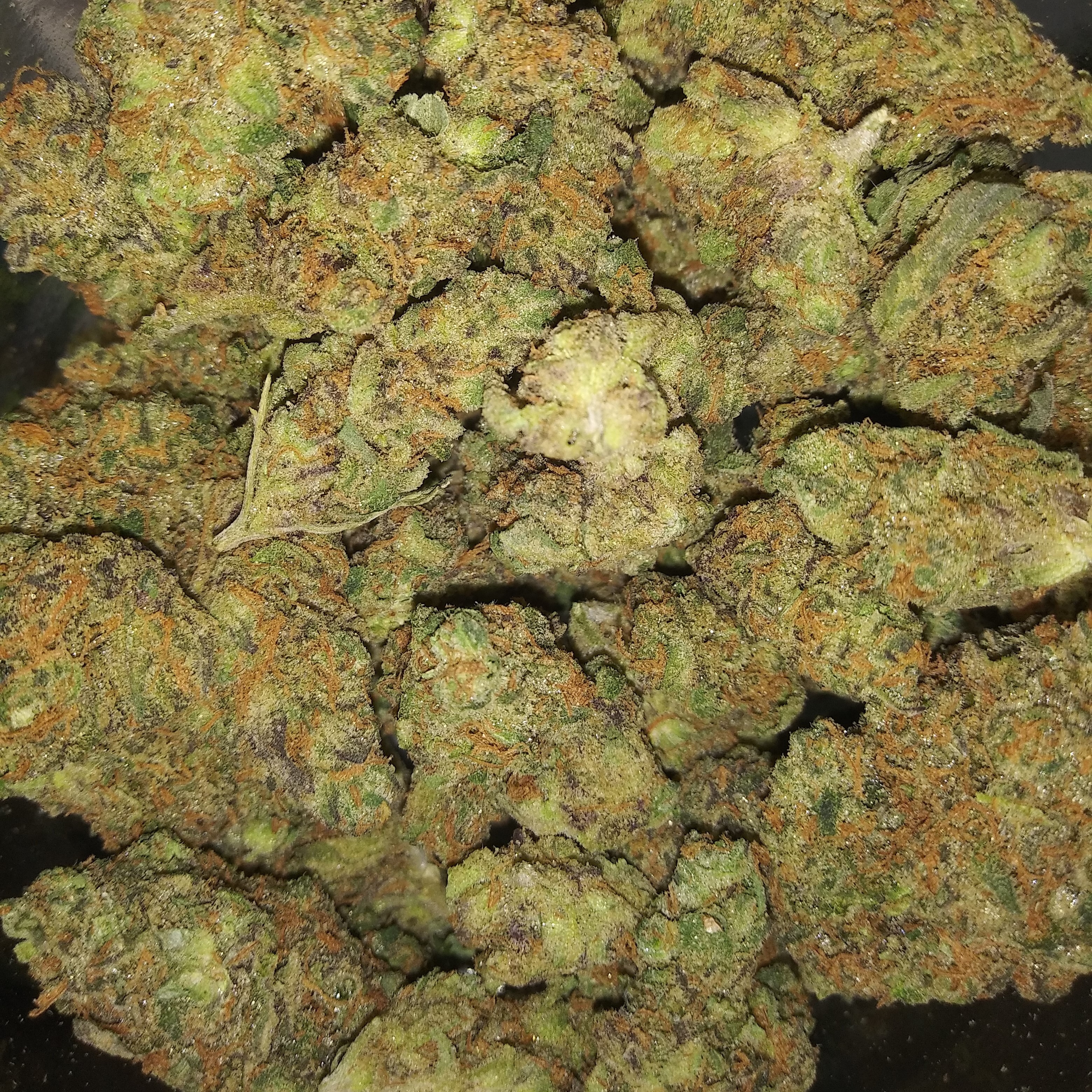 Fruity Pebbles